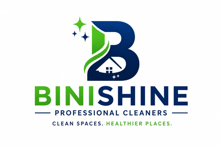 Binishine Professional Cleaners